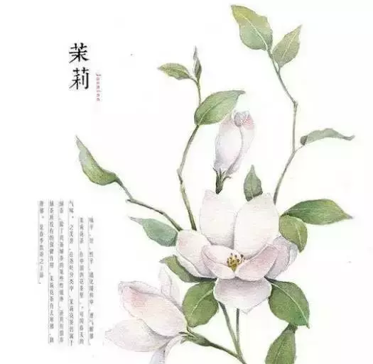 佛說:順其自然是最好的活法