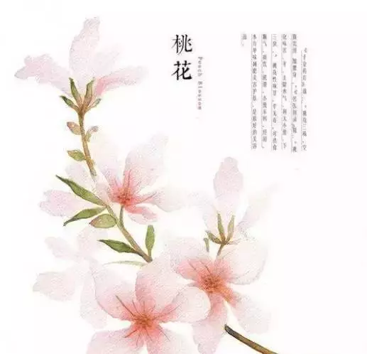 佛說:順其自然是最好的活法
