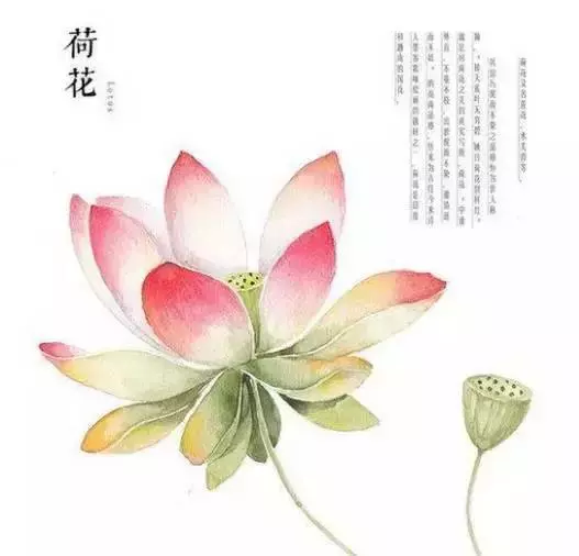 佛說:順其自然是最好的活法
