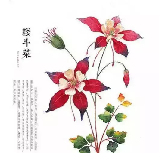 佛說:順其自然是最好的活法