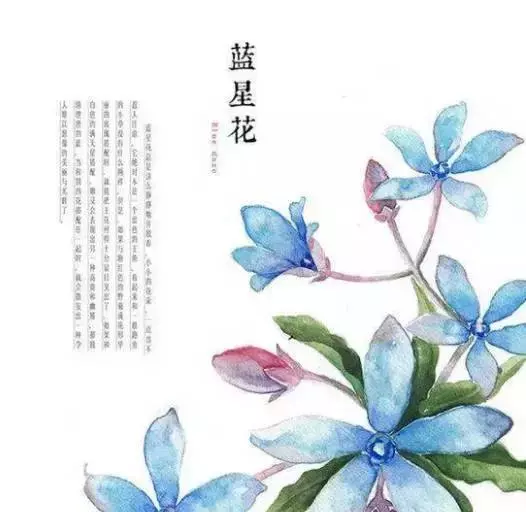 佛說:順其自然是最好的活法