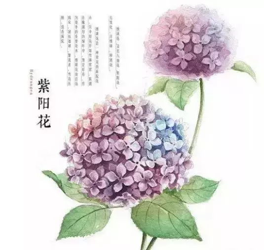 佛說:順其自然是最好的活法