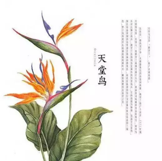 佛說:順其自然是最好的活法