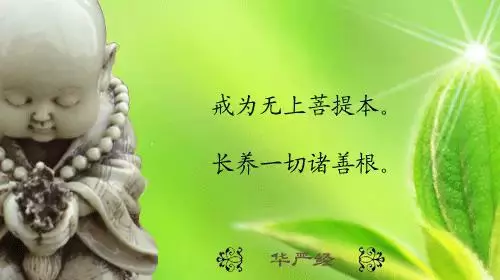 這樣子學佛,越學越往地獄跑!