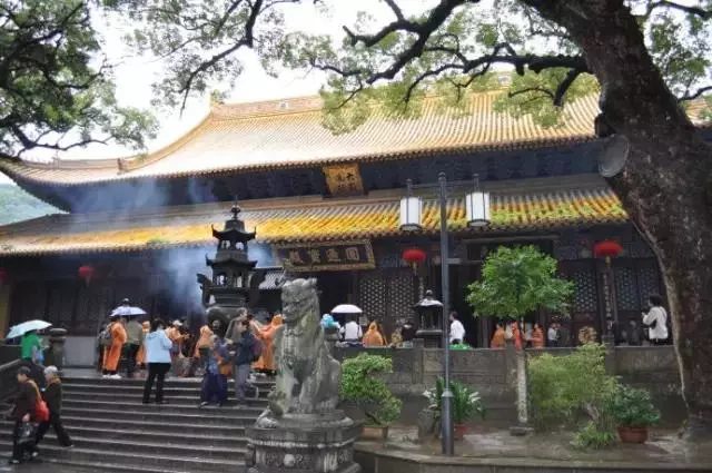 妙蓮老和尚:一個讓家人吃素的好辦法