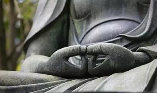 很多家畜、寵物是親人因貪執家而轉世