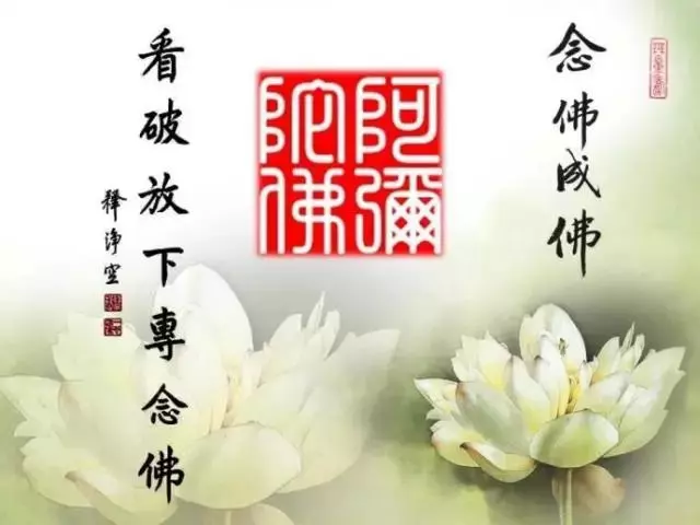 淨空老法師:天天干這種傻事,天天在折福,很多人不知道!