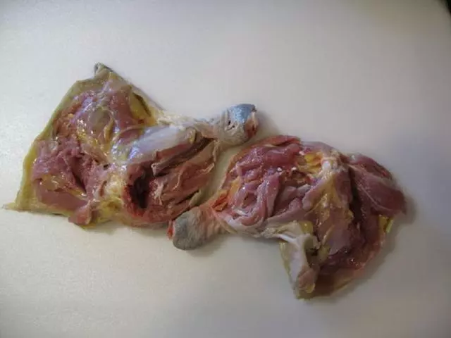 雞腿的最新做法,不用一滴水,簡單又美味