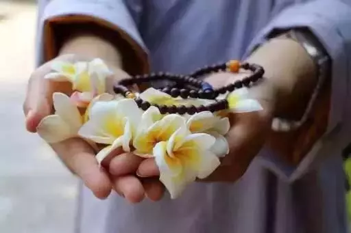 經常念佛,你會得到......