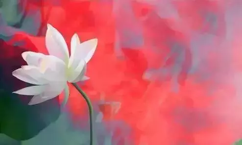 清淨說:長相年輕的人,一定是個福星。