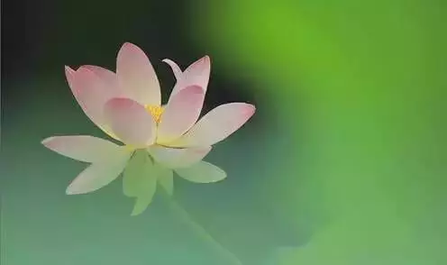 清淨說:長相年輕的人,一定是個福星。