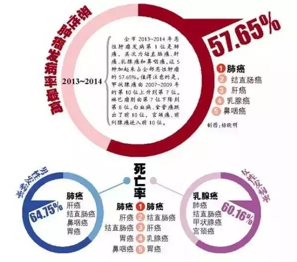 當你停止吃肉,這些奇跡就會出現!