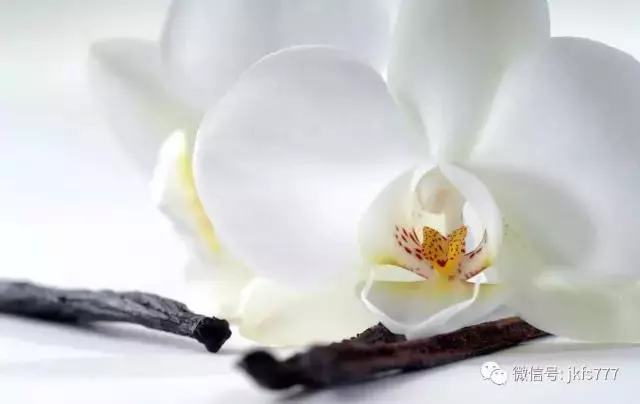 算一算你還剩下多少福報?