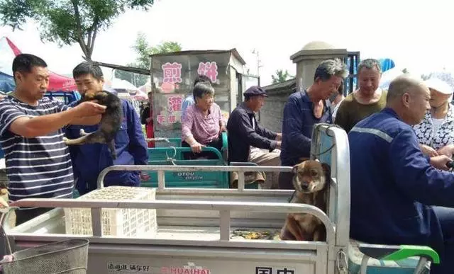 主人將狗媽媽和小狗崽賣掉,狗媽媽看著孩子被賣掉,眼神令人心酸