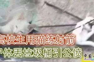 華裔男證實遭尋仇2兇徒4槍奪命