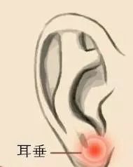 身體上的疾病,每天這樣揉揉耳朵就能緩解!建議收藏