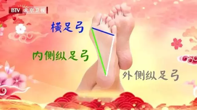 人老腳先衰!簡單小動作,每天做一做,舒筋活絡腿不老~