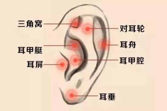 每天按耳朵的效果,居然能媲美刮痧、艾灸?耳部按摩手法學起來!
