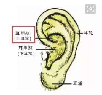 每天按耳朵的效果,居然能媲美刮痧、艾灸?耳部按摩手法學起來!