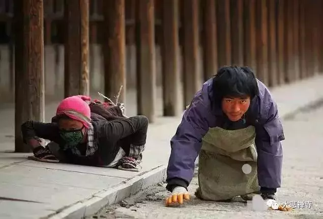 藏族人為什麼要磕十萬個長頭!