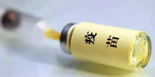小狗剛到家怎麼養,最科學的方法,了解一下