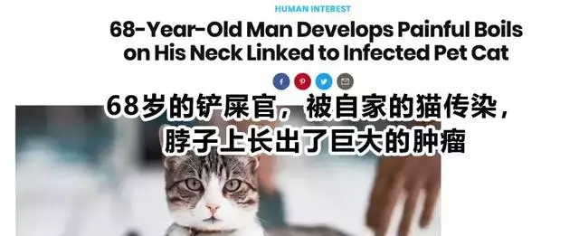 被貓主子親了一口,脖子上竟長出致命腫瘤……