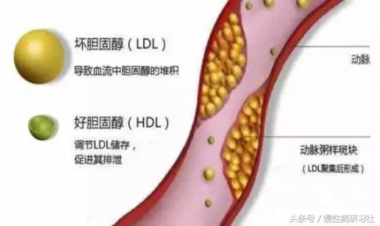 榴槤雖好,但多吃後也會有這五種問題!
