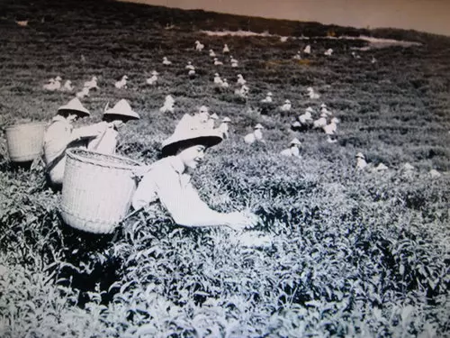 50年代的台灣是什麼樣子?看完這些老照片後,網友都感嘆:「雖物質缺乏,卻很有人情味!」