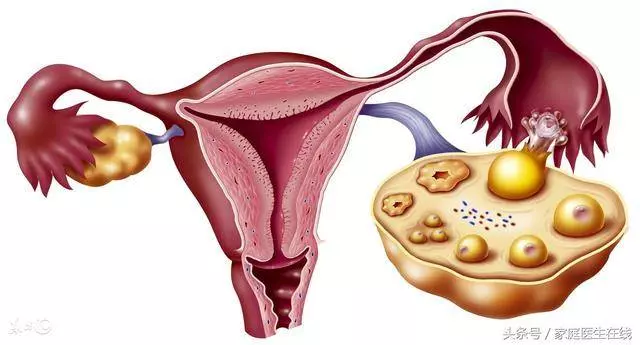 為什麼女人一到50歲,體重不降反升?無非3個原因!