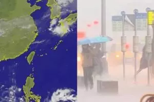 來不及移車阻擋美食中心營業車主疑轎車遭業者破壞
