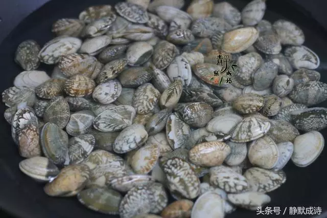花蛤這樣洗乾淨無沙,這樣炒下飯又下酒,1人2斤不夠吃!