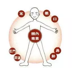 排出毒素好養生——最實用的五臟排毒法(建議收藏)