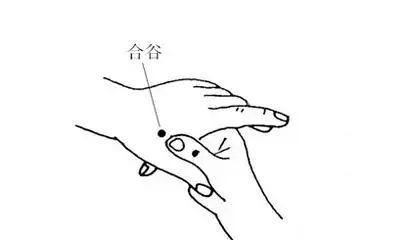排出毒素好養生——最實用的五臟排毒法(建議收藏)