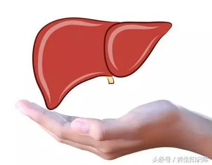 養肝不是難事,堅持做好「8個字」,能做到的越多,肝臟越健康!