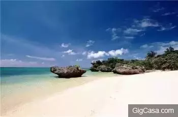 旅行中千萬不能帶回家的紀念品