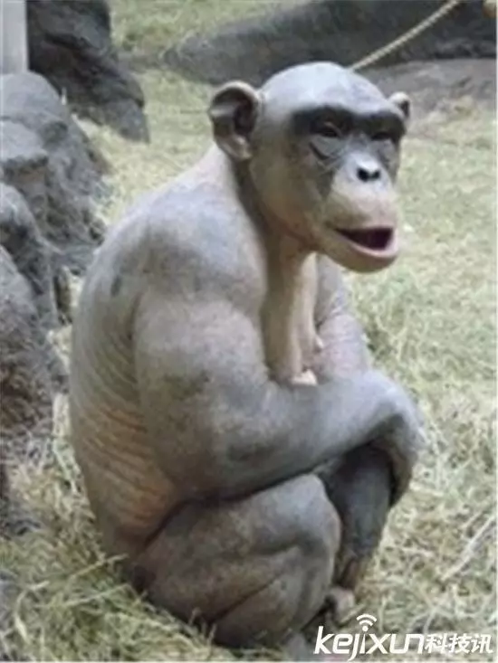 一生最多看一次!世界上有很多的動物是我們都聞所未聞的