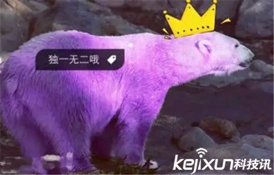 一生最多看一次!世界上有很多的動物是我們都聞所未聞的