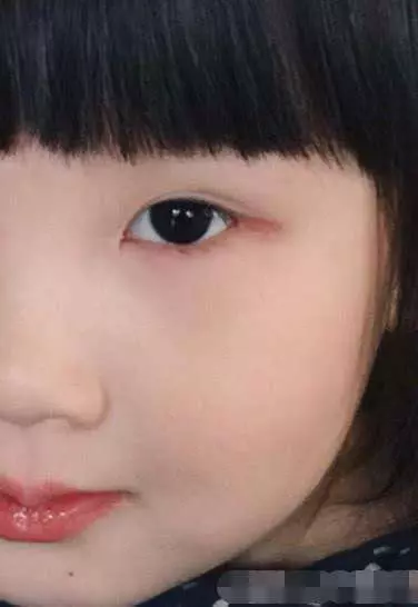 孫楠和兩任妻子各生一個女兒,同父異母的兩女孩卻長成一個樣子!
