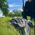 女童出門騎車慘遭鄰居惡犬活活咬死
