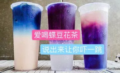 愛喝蝶豆花茶?說出來會嚇你一跳