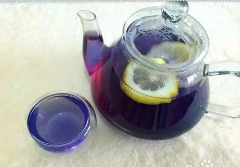 愛喝蝶豆花茶?說出來會嚇你一跳