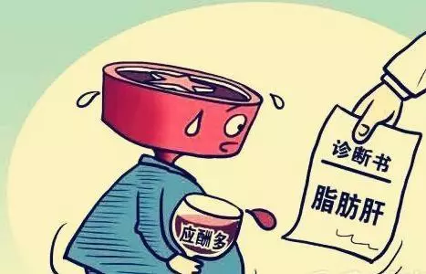 治療脂肪肝:重點不在吃藥!