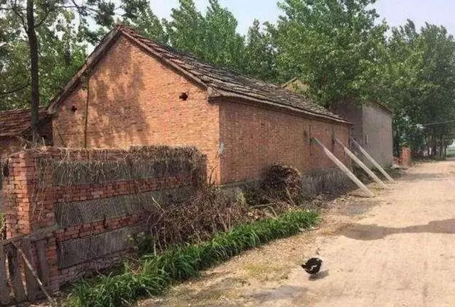 母親來借10萬給弟弟蓋新房,婆婆的話,讓我流淚了