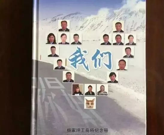 這貓在工商所做調解員,居然還在「編制