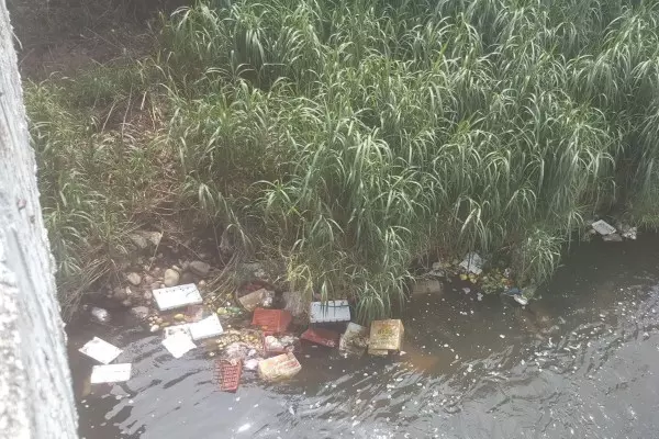 桃園老街溪遭亂倒腐爛蔬果 市府揪兇求償1 5萬