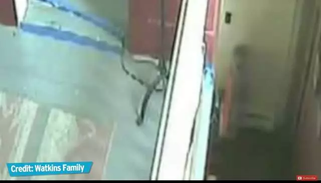 《5個真實存在鬼娃娃》沒想到看起來都如此普通...