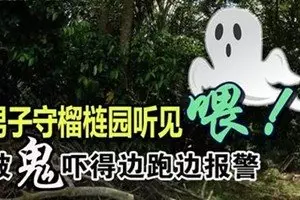 兩轎車和1摩哆凌晨相撞,騎士當場死亡