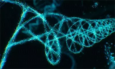 四維空間的生物就是魂,是真的嗎?