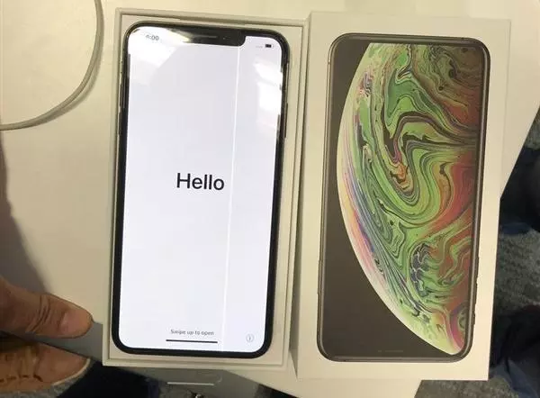 新iPhone 再陷「綠線門」?首例iPhone XS Max螢幕綠線故障出現