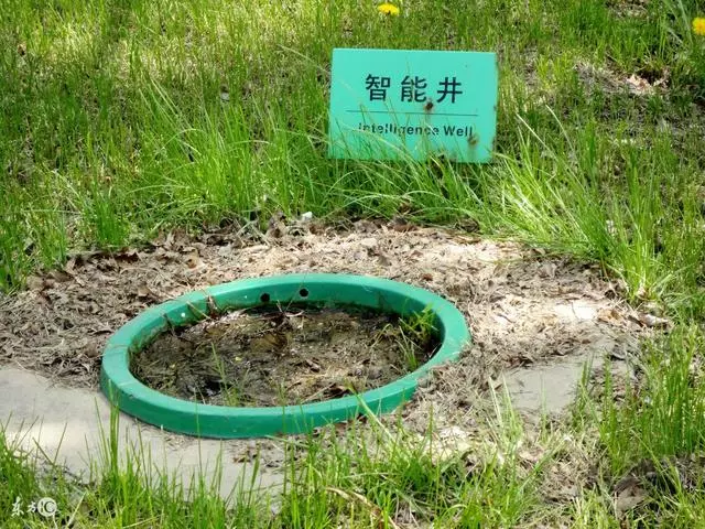 大旱年,挖井挖到一口甘甜清涼的井水,道士卻大呼不能喝